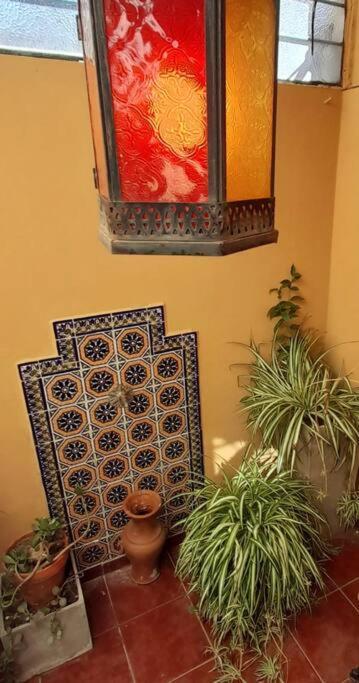 ¨Las Mayolicas¨ Hermoso Depto Con Patio Espanol 门多萨 外观 照片