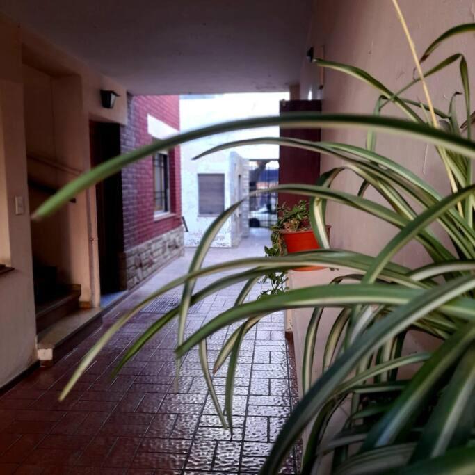 ¨Las Mayolicas¨ Hermoso Depto Con Patio Espanol 门多萨 外观 照片