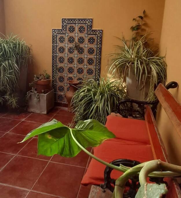 ¨Las Mayolicas¨ Hermoso Depto Con Patio Espanol 门多萨 外观 照片