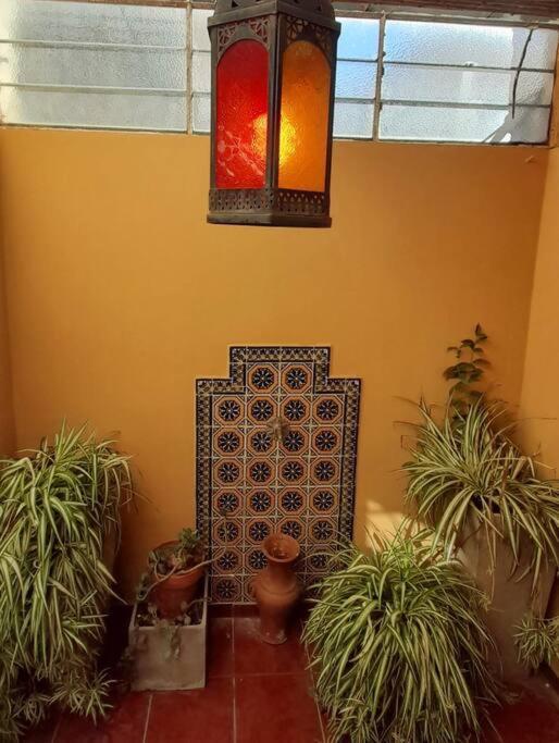 ¨Las Mayolicas¨ Hermoso Depto Con Patio Espanol 门多萨 外观 照片